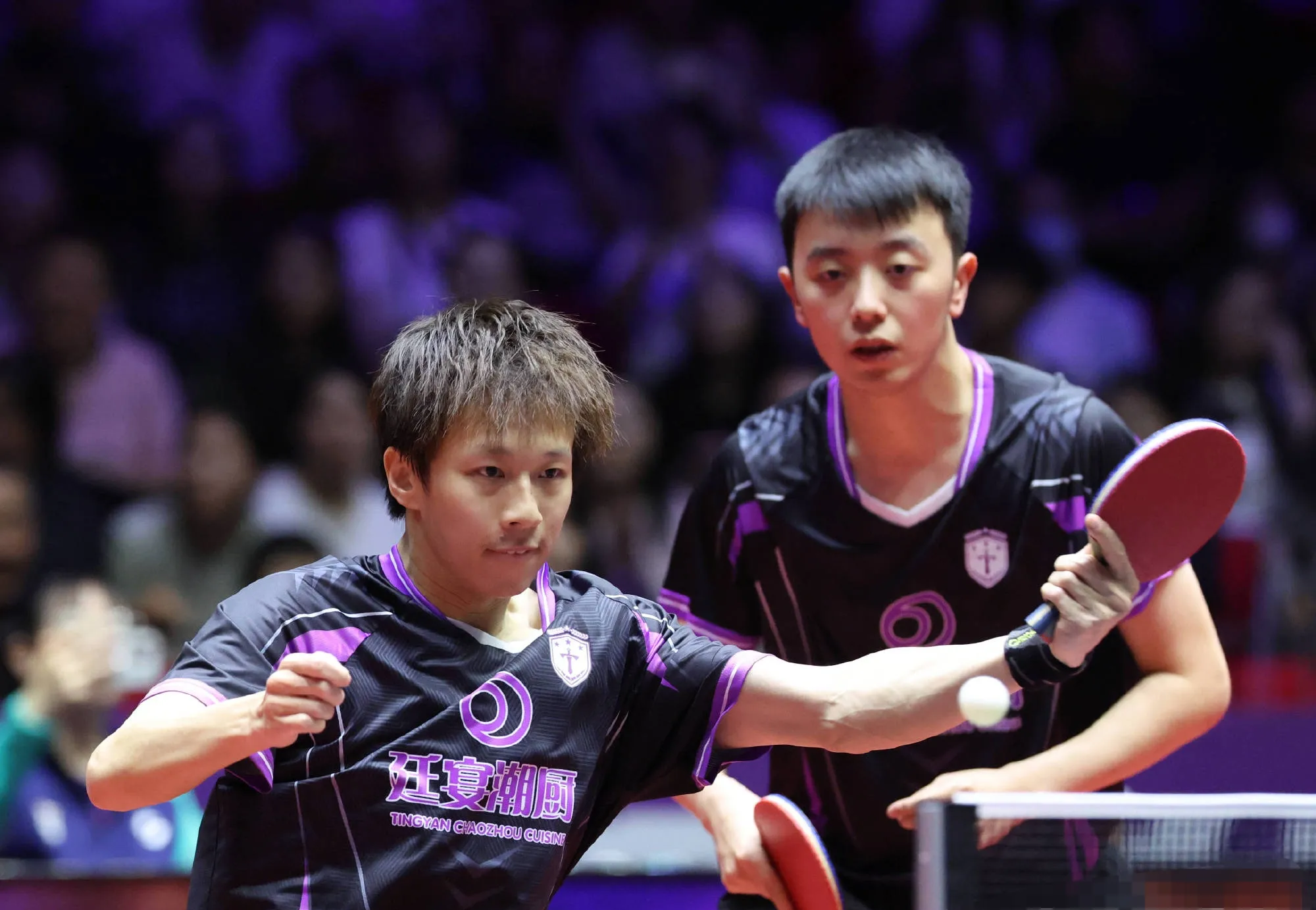 波兰队横扫韩国队,林高远点燃赛场 波兰队横扫韩国队,林高远点燃赛场