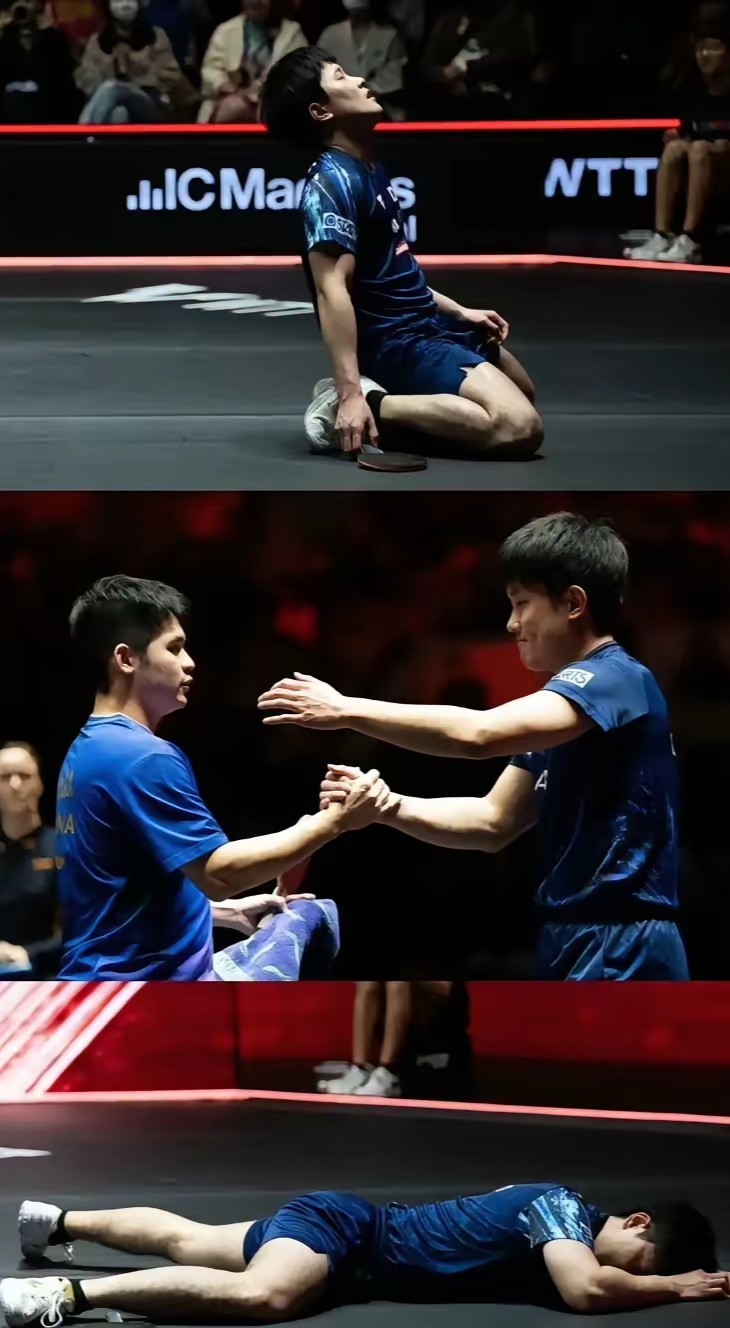 法国队完胜中国队，张本智和关键制胜