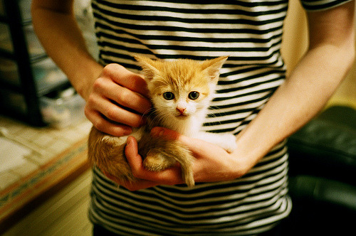 哥斯达黎加的火山 vs 几内亚的雨林，一场大洋彼岸的篮球狂想 NBA季后赛焦点战的跨纬度对决隐喻