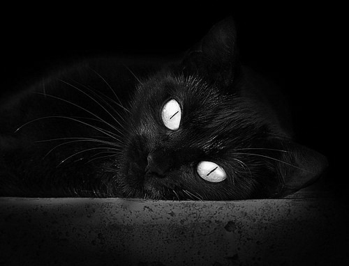 窒息防守与最终审判，米切尔神迹难阻绿衫军破鹈鹕铁壁