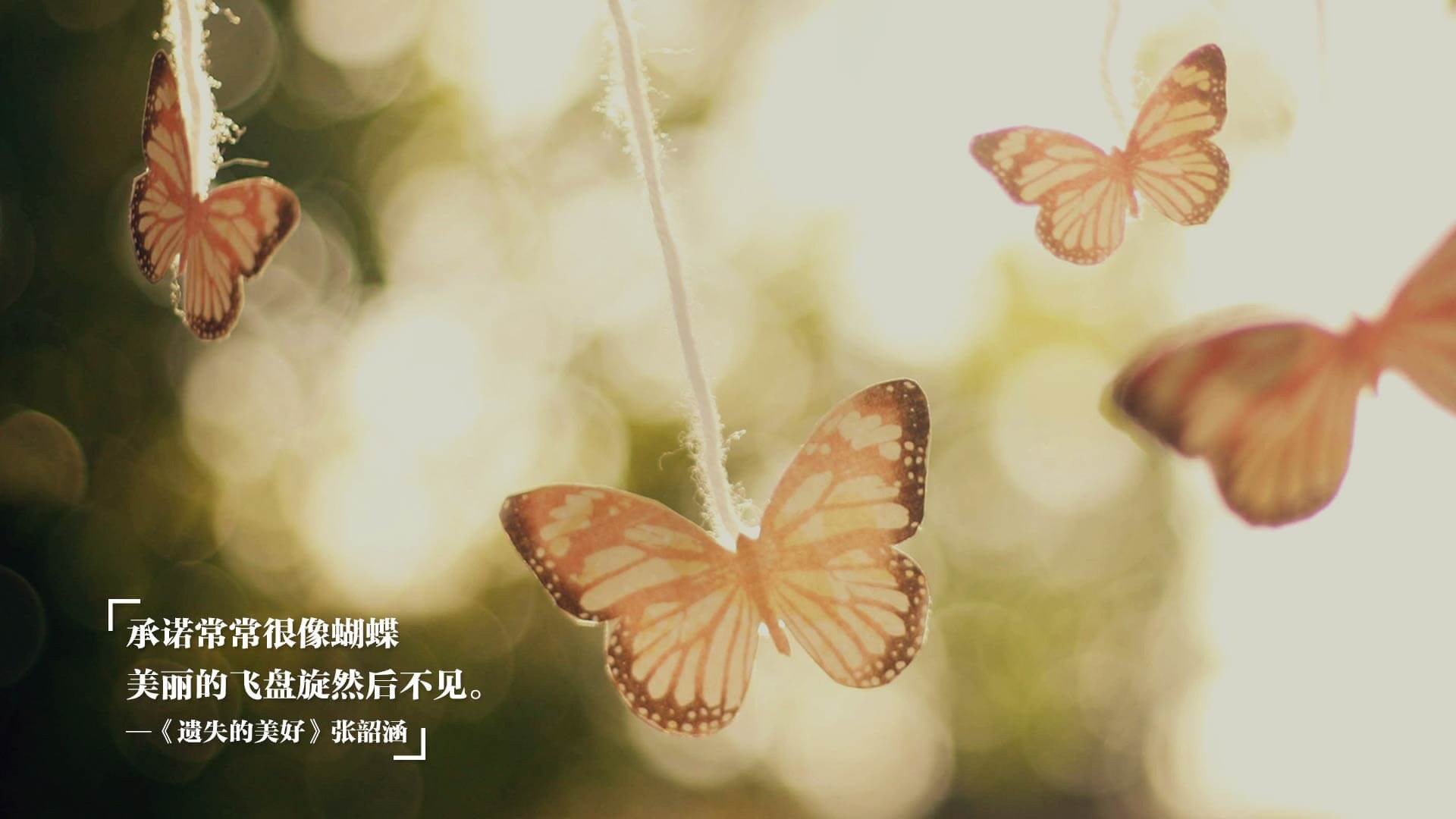 新星破局！阿尔瓦雷斯独挑大梁，勒沃库森险胜马里背后的价值证明