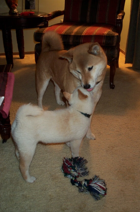 保罗的无解与公牛的闪电