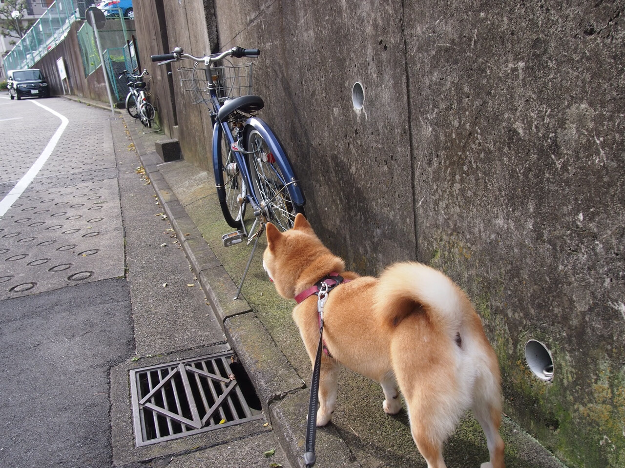 王冠前的暗夜跋涉,杜兰特的欧冠决赛之夜