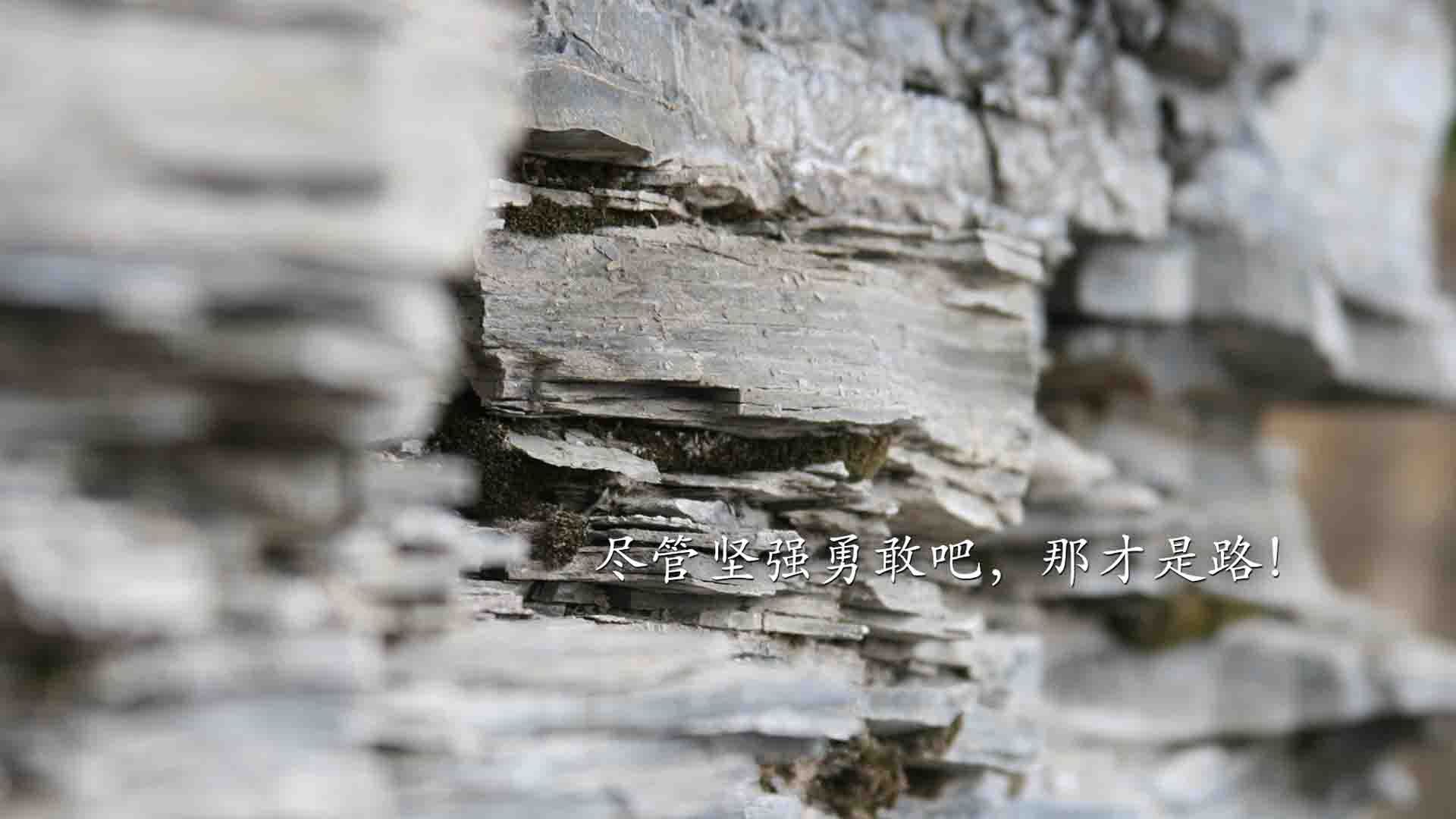 戈贝尔定律，当勇士的浪潮撞上爵士的铜墙，关键回合他为何从不手软？