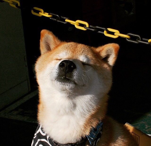 风卷俄城!青春雷霆逆转生死战,爵士饮恨西决门前