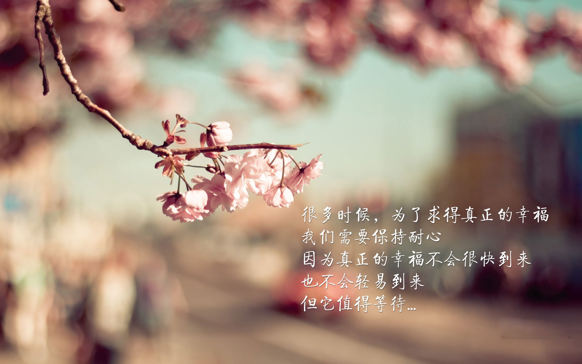 南美风暴席卷巴黎!第三节惊天逆转背后的关键先生