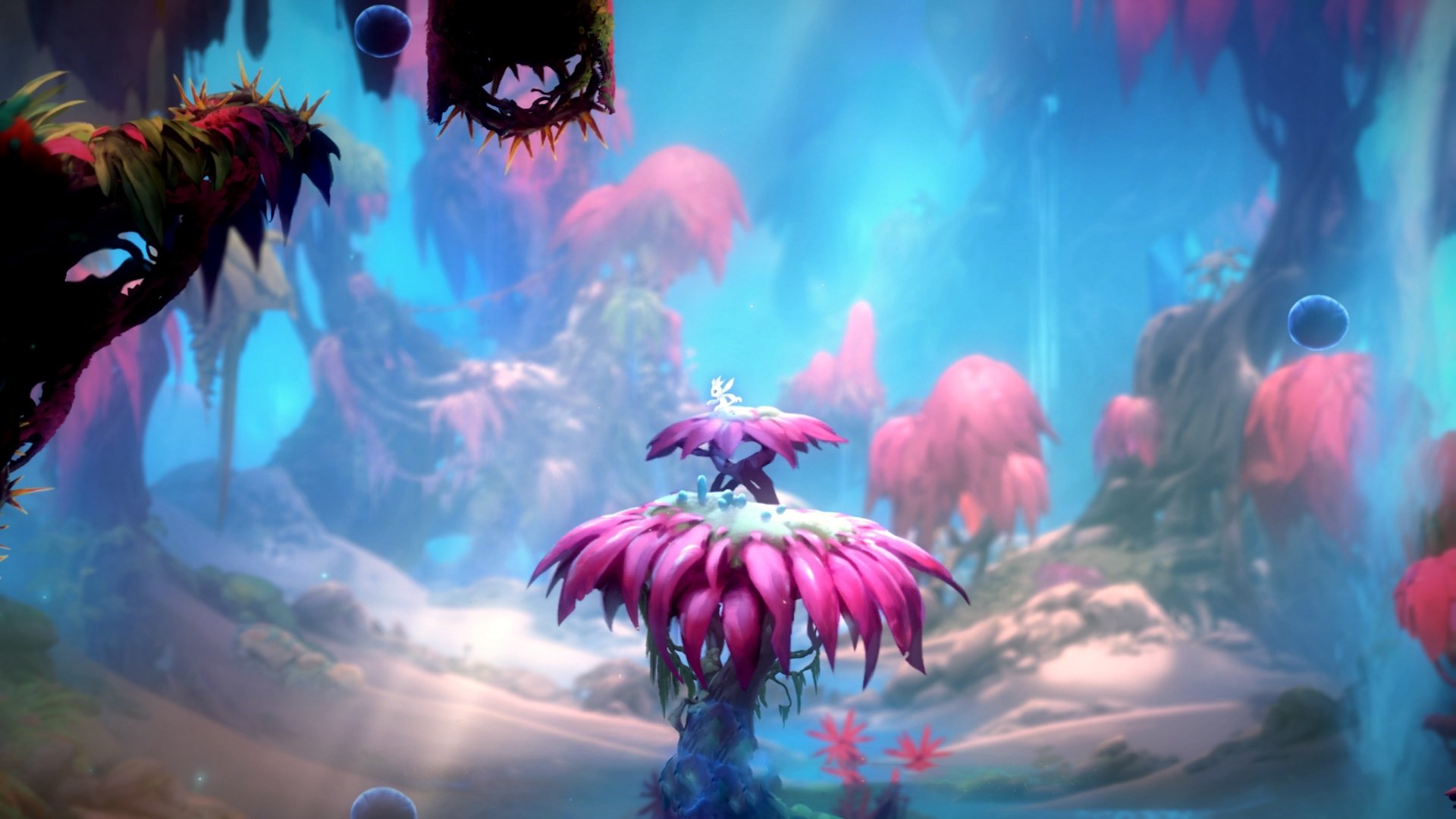 唯一性,比利时如何用极致战术终结悬念,加克波成为破局者