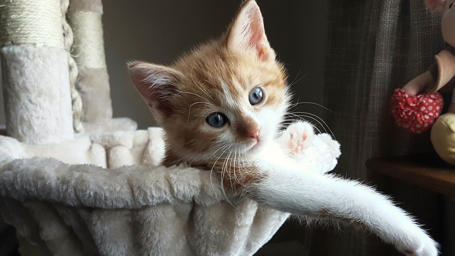 独家｜零下五度的绝杀心脏，霍勒迪冰封新疆之夜