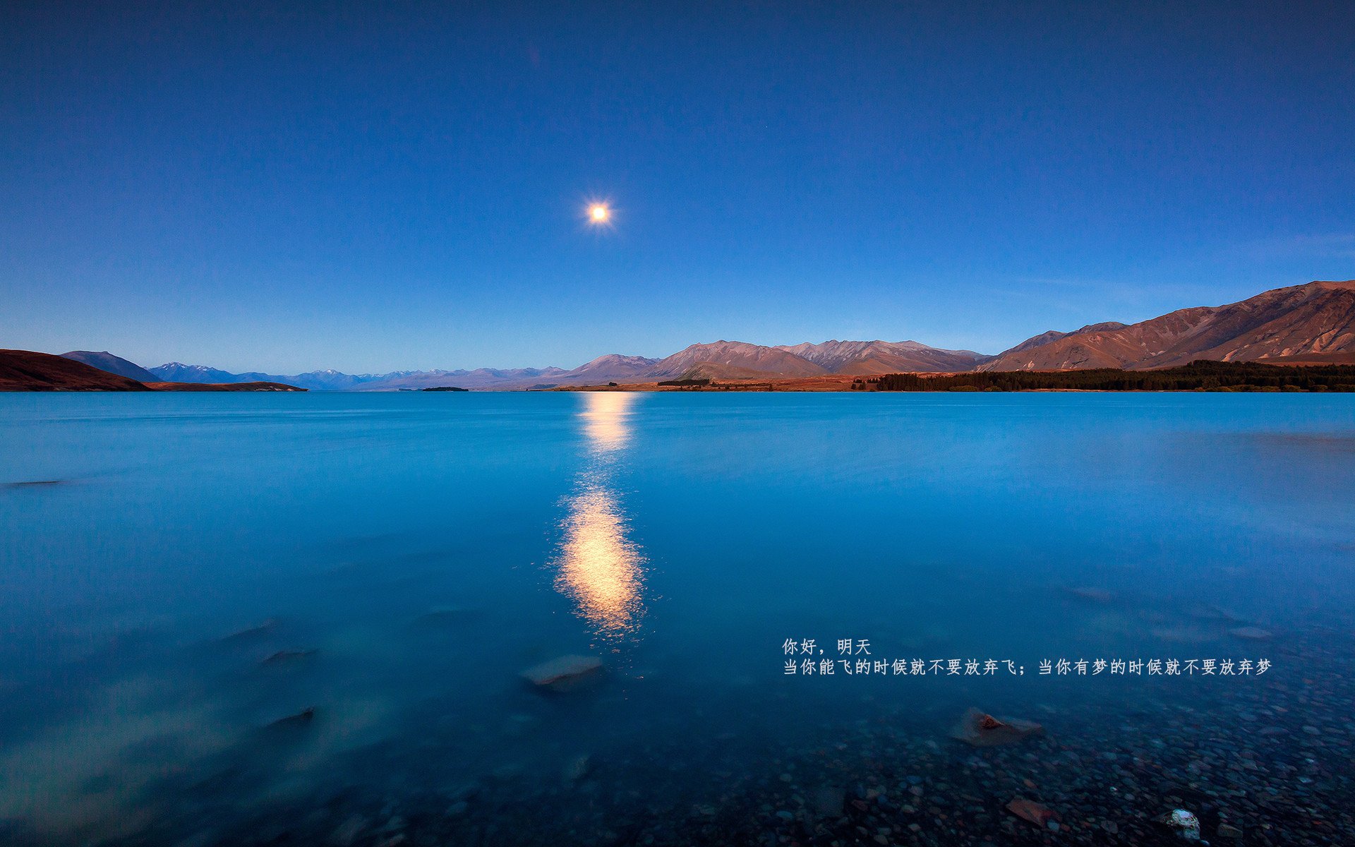 德甲式决战CBA,北京首钢提前四轮终结辽宁卫冕悬念
