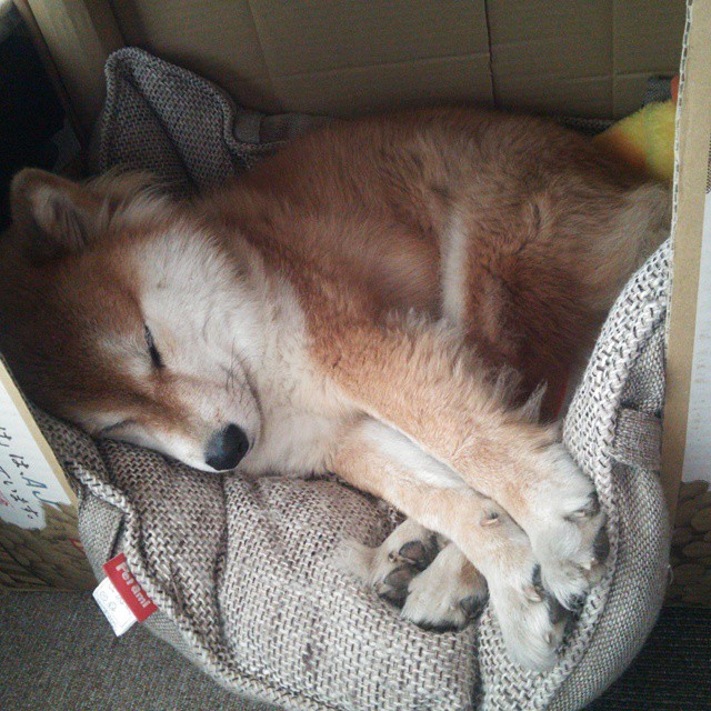 南美双雄铁血对决!斯通斯化身大场面先生,智利正面击溃乌拉圭