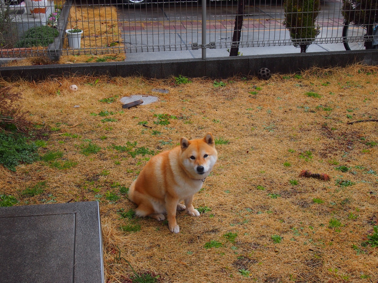 终场哨响的宿命,从曼城绝杀到桑切斯拯救智利