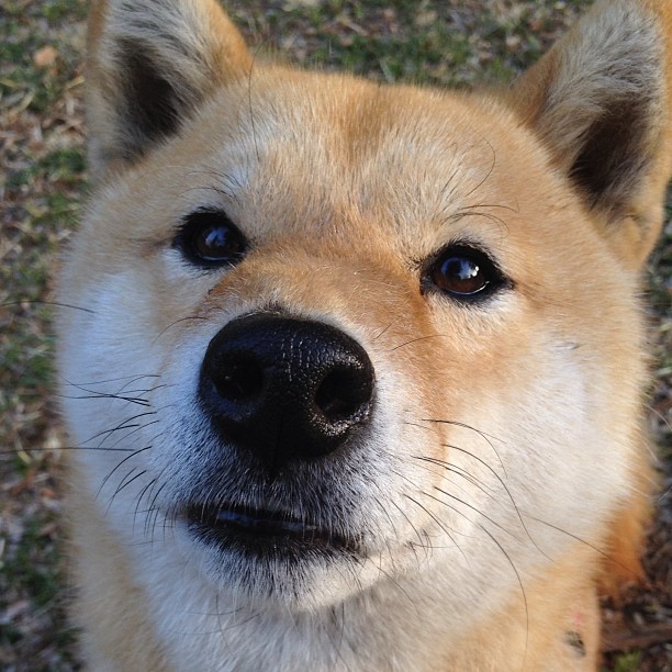 爱游戏-银箭破晓圣城加冕—当F1争冠悬念终结于篮球场的统治力