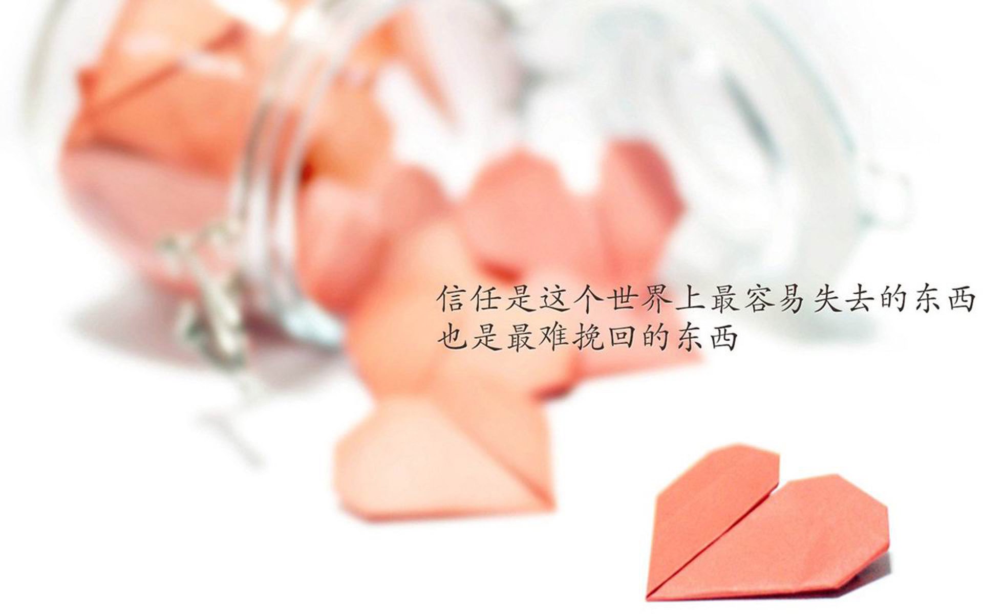 绝杀之夜，穆西亚拉照亮2026世界杯C组生死战