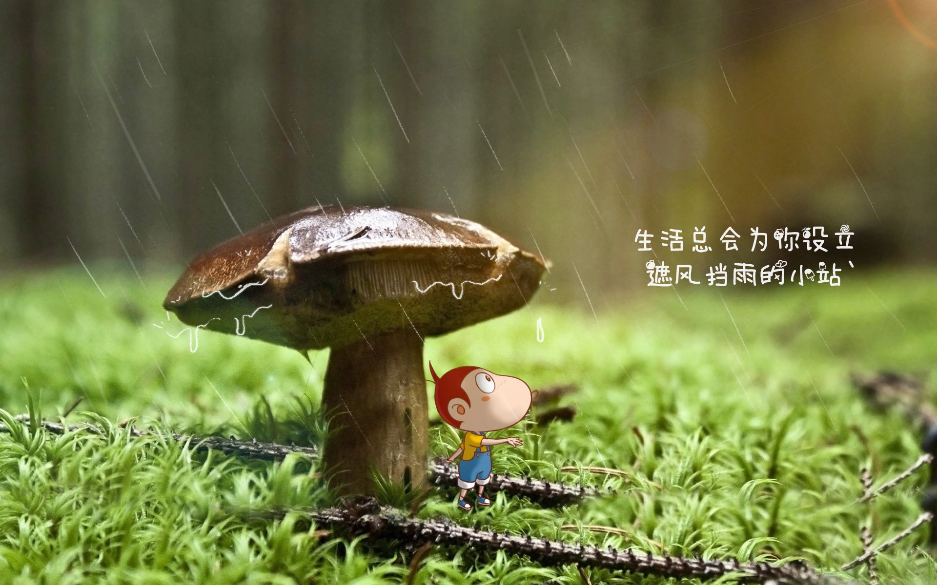 奇迹之夜，2026世界杯A组强强对话，罗马尼亚绝杀摩洛哥，奥斯梅恩闪耀全场